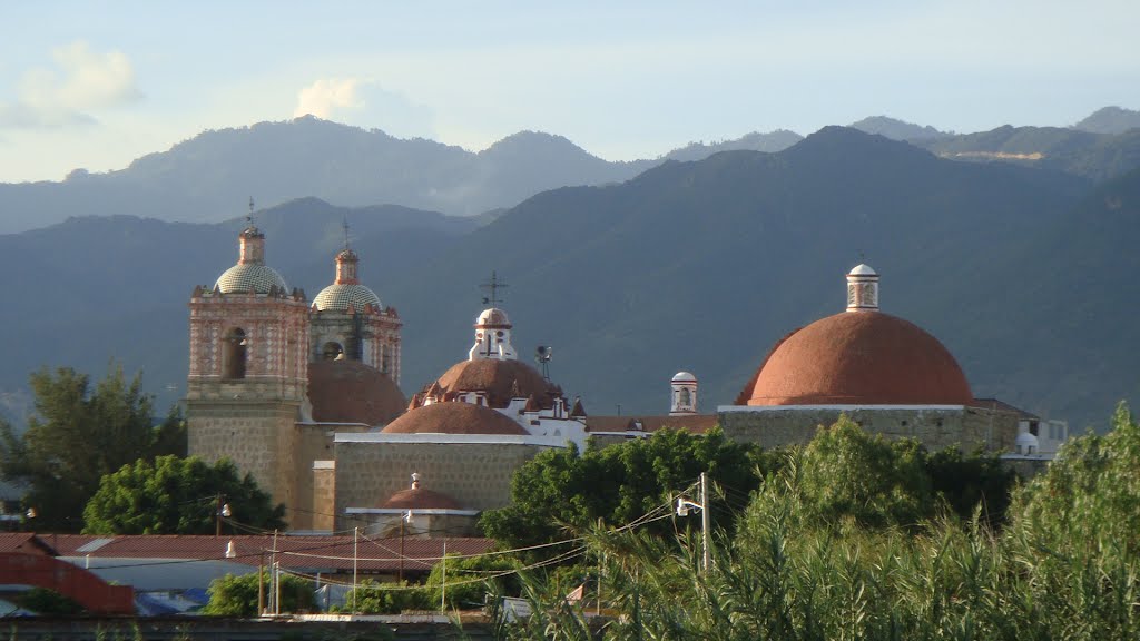 Rooftop View