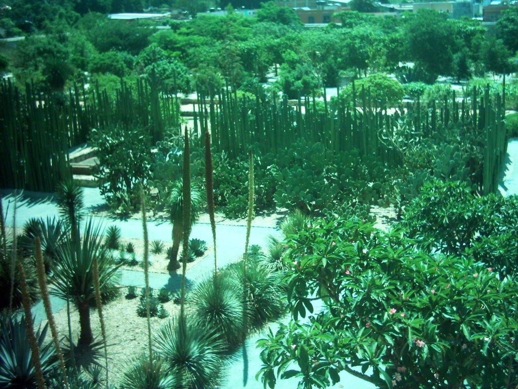 Jardines Santo Domingo