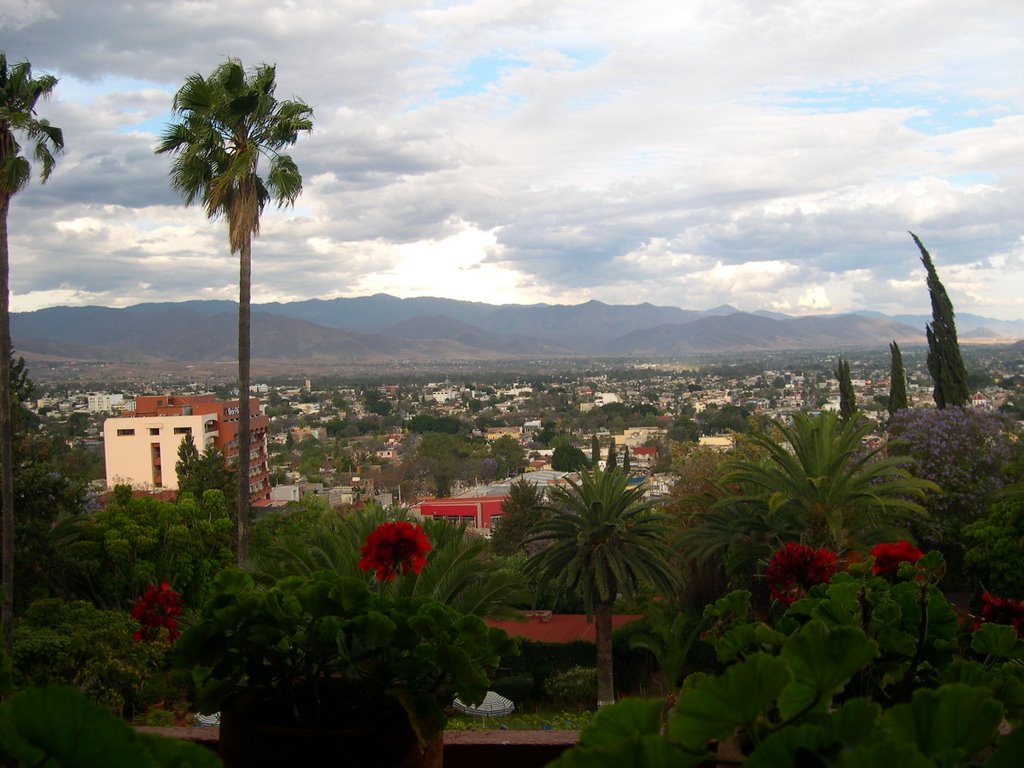 Oaxaca, view