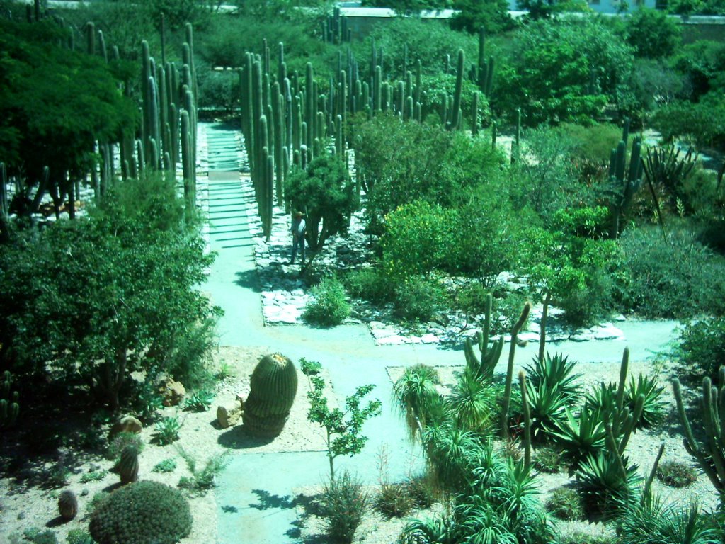 Jardín Etnobotánico, Sto. Domingo