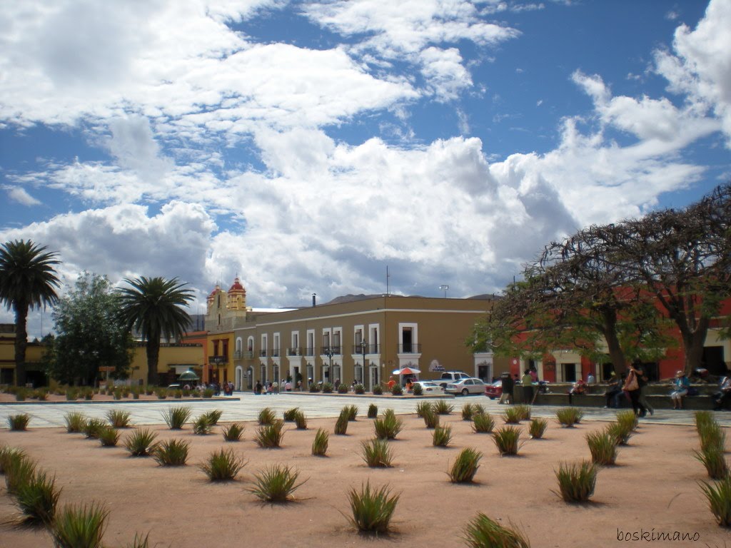 OAXACA EL ORIGEN DEL MEZCAL¡