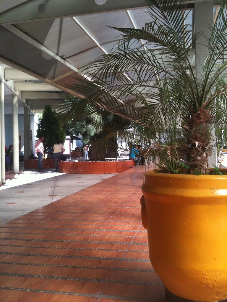 BUAP Facultad de Lenguas