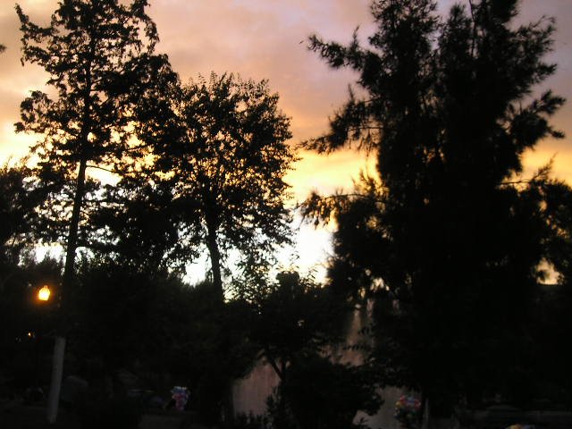 Atardecer en el parque