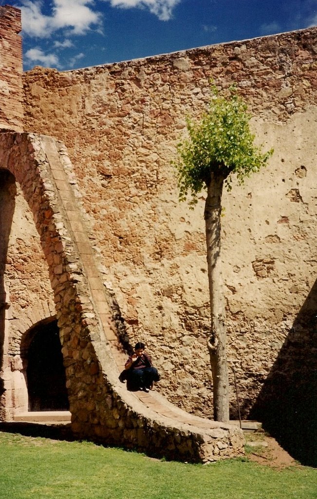 zacatecas,zac.mx.