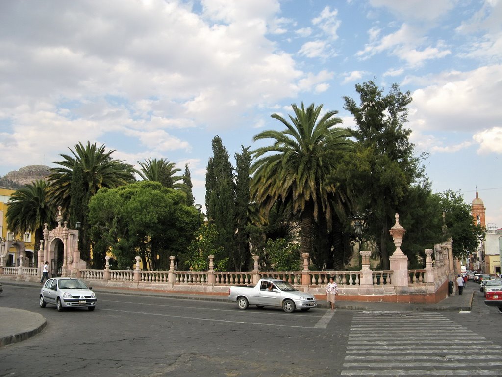 A public garden with lush vegetation