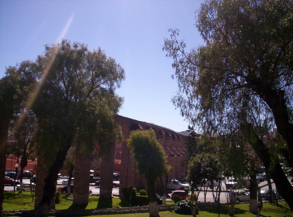 Zacatecas