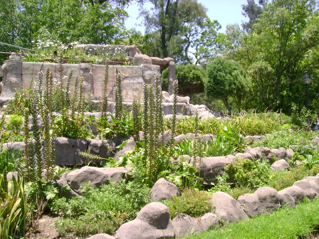 Jardines Alameda