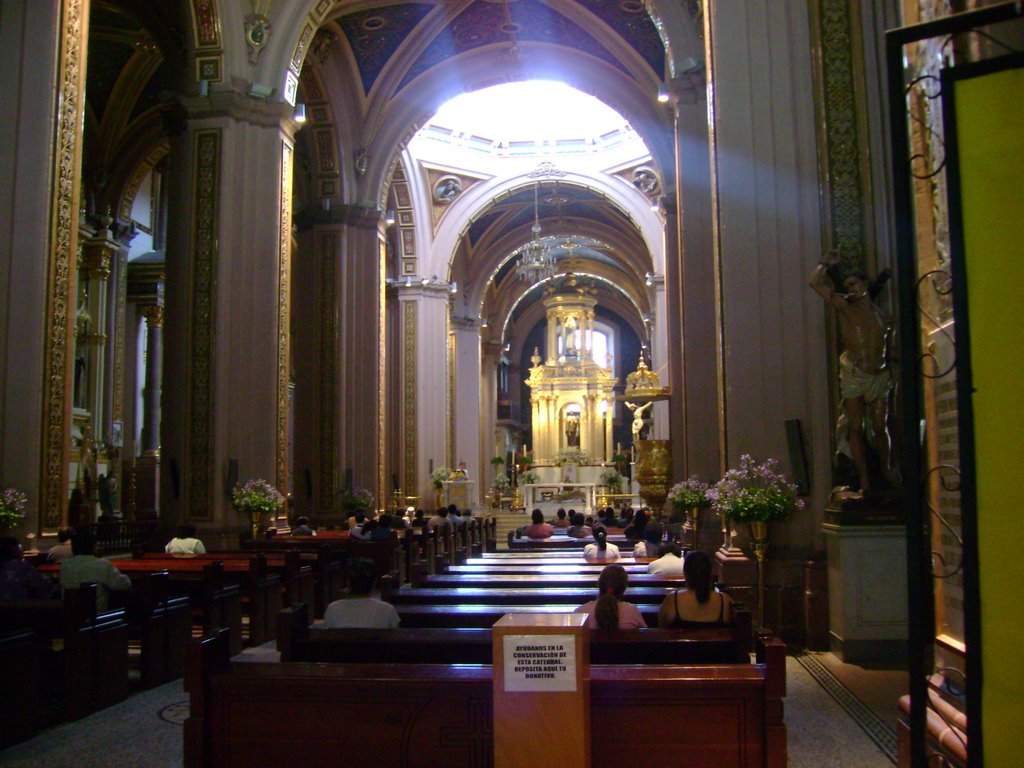 Interior Catedral