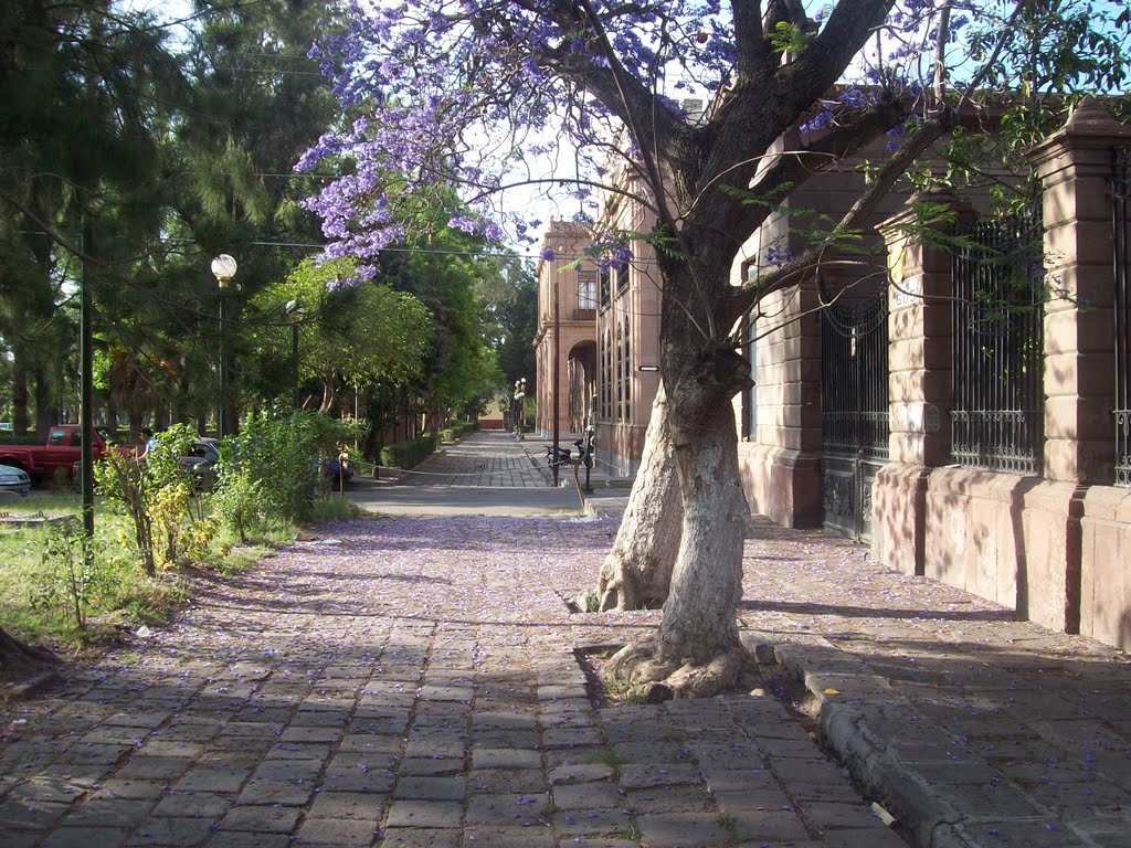 afuera del internado