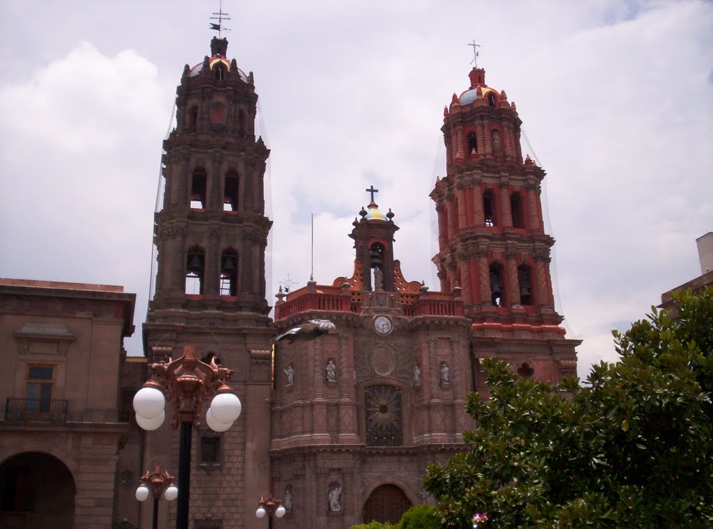 San Luis Potosi