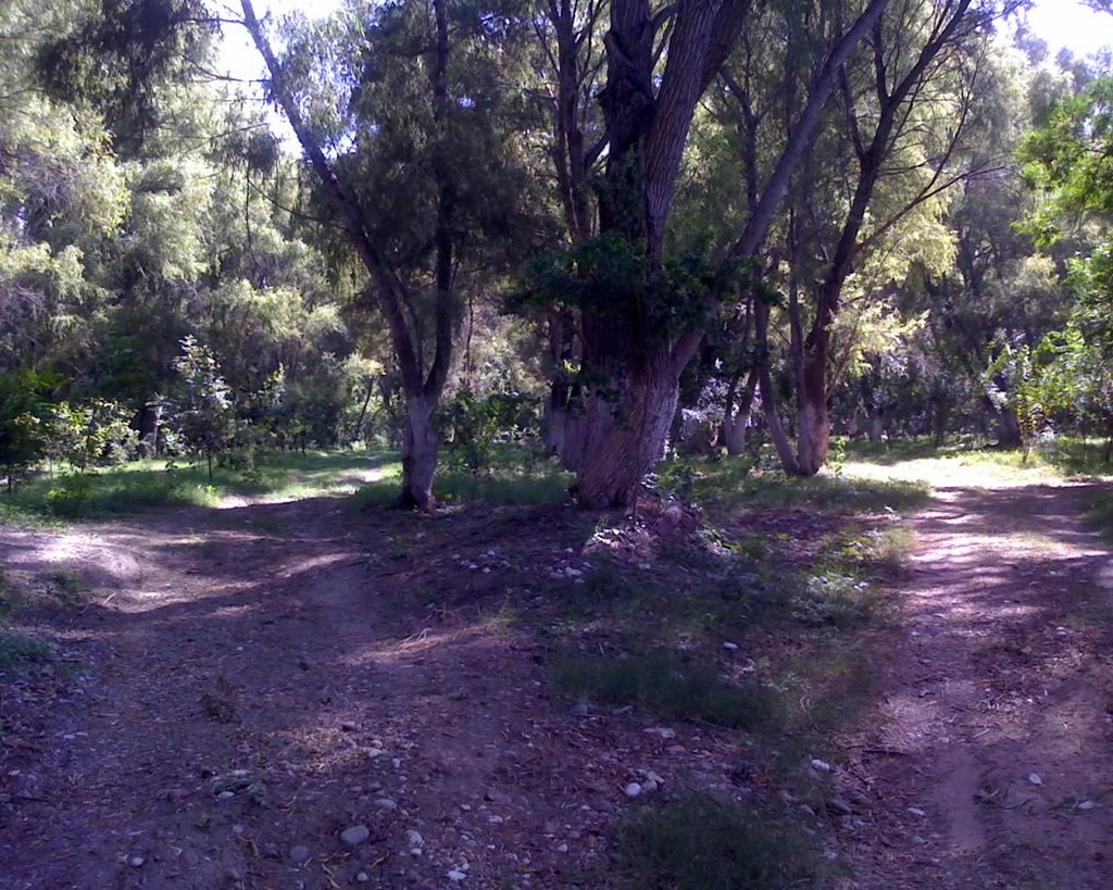 El rio verde, parque1
