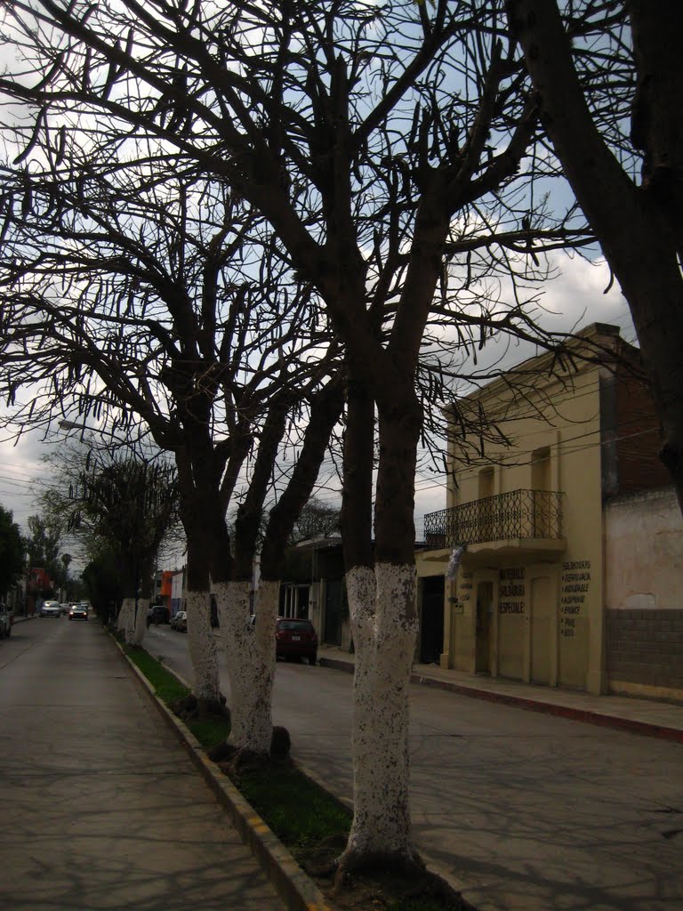 Imagen de calle Heroes Potosinos