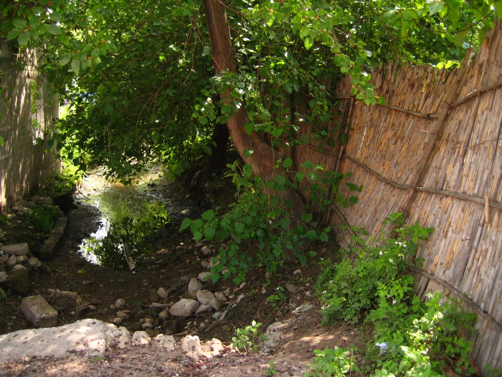 Asequia en calle Pipila