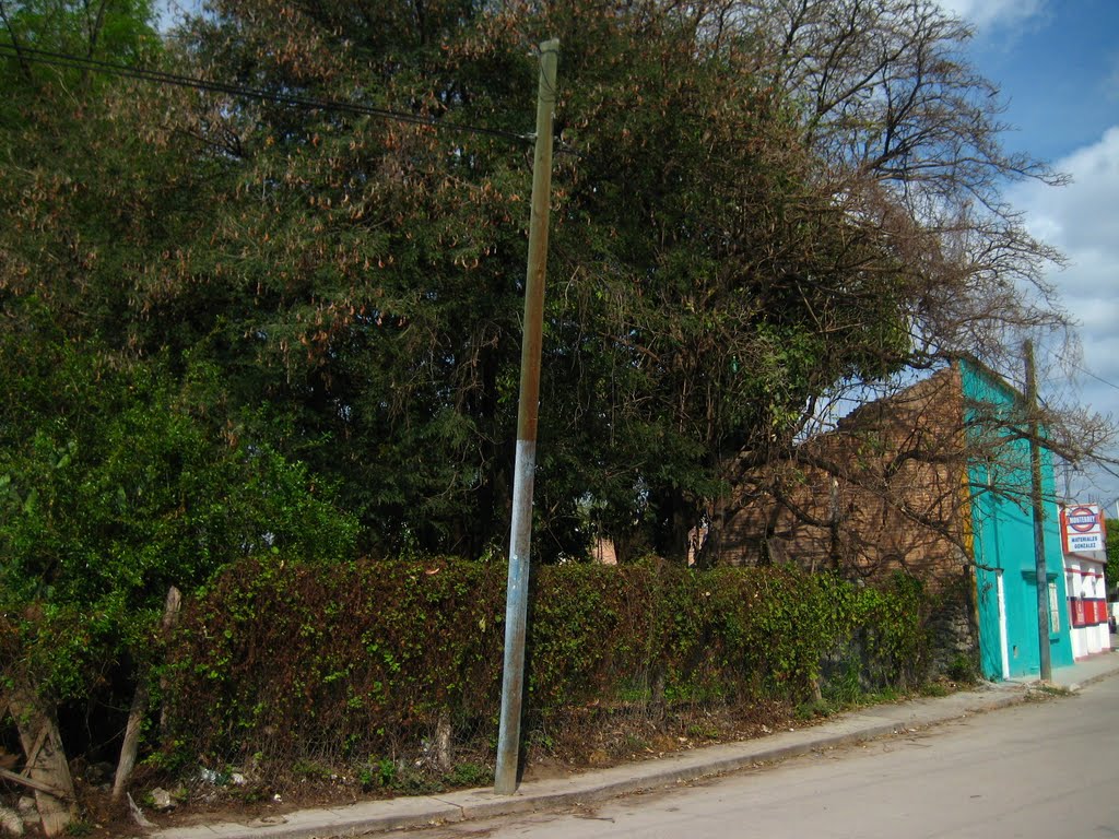 Imagen de calle Matamoros