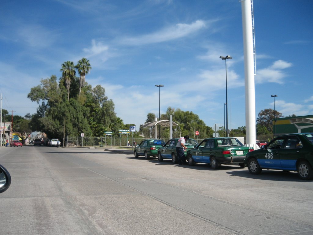Taxis afuera de Aurrera