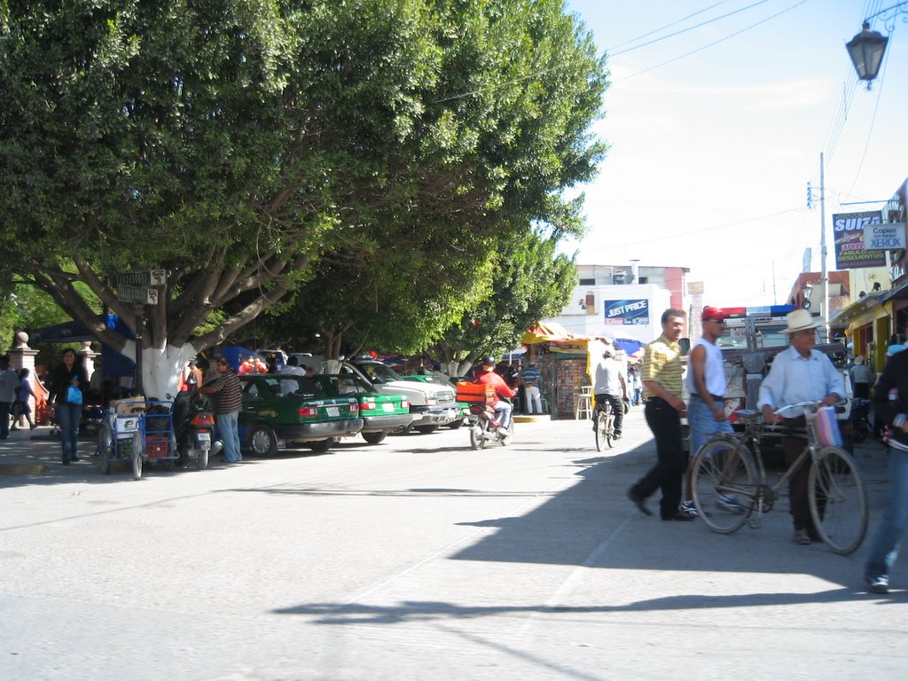 Plaza Rioverde