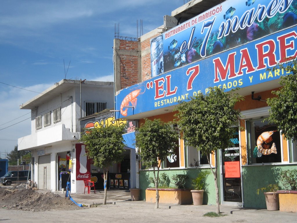 El 7 mares boulevard