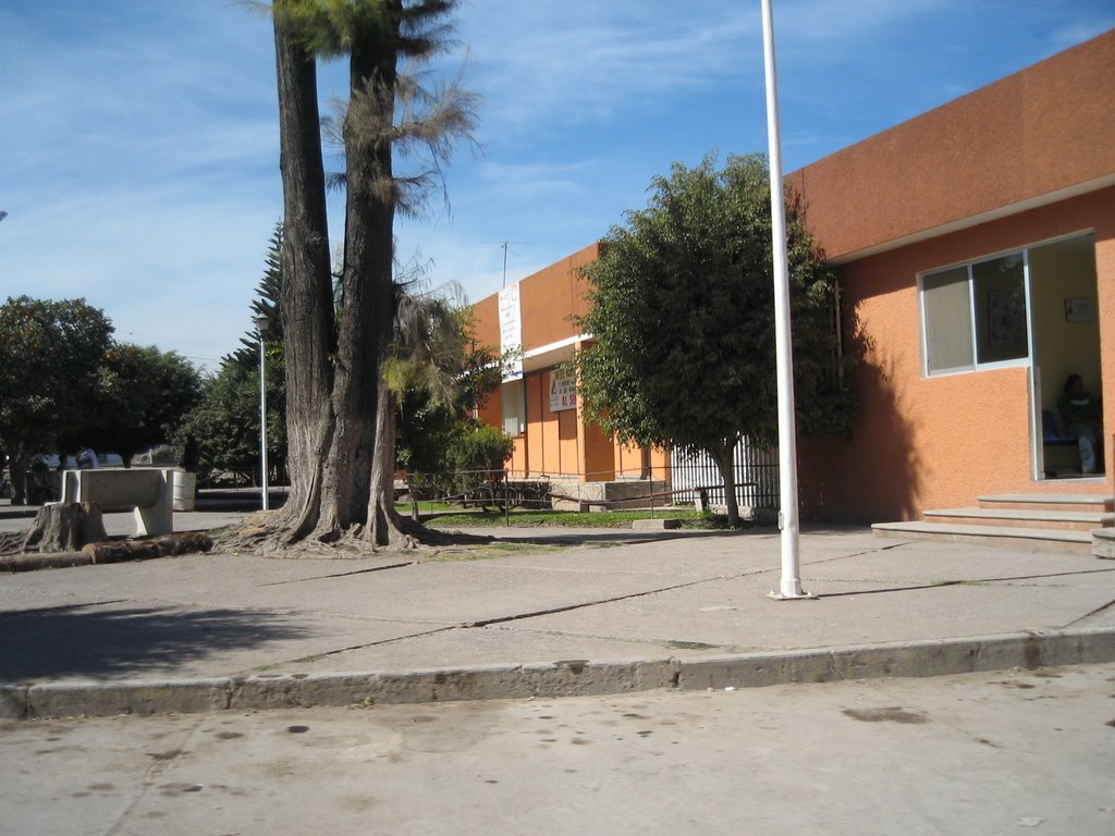 Hospital General de Rioverde