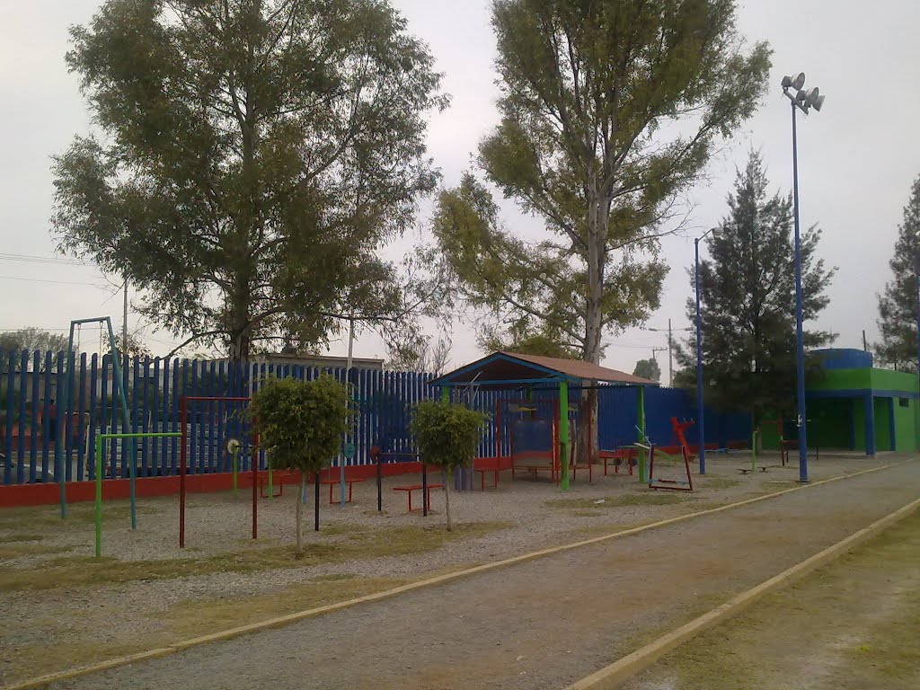 Area de Juegos