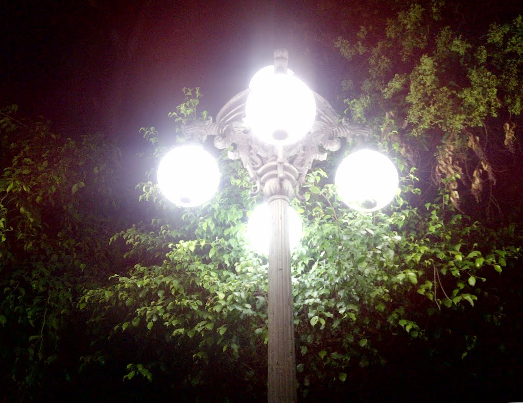 Luminaria en Rioverde