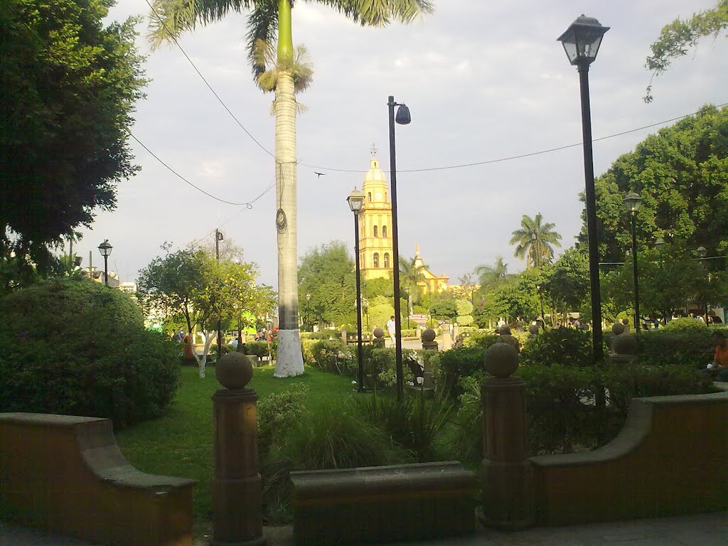 Centro Rio Verde SLP