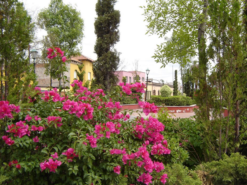 Street at San Luis Potosi Mexico