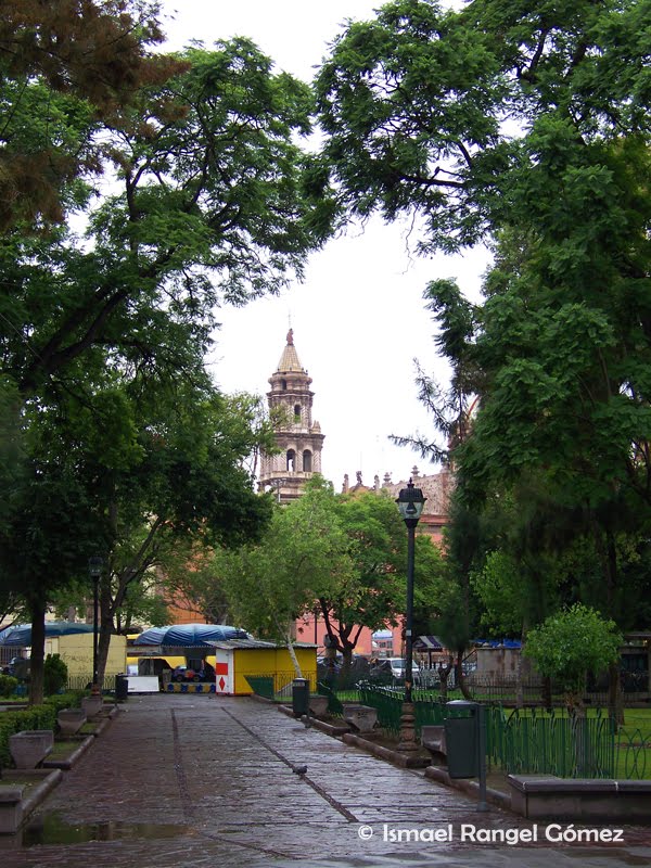 ALAMEDA, SAN LUIS POTOSÍ, S.L.P.