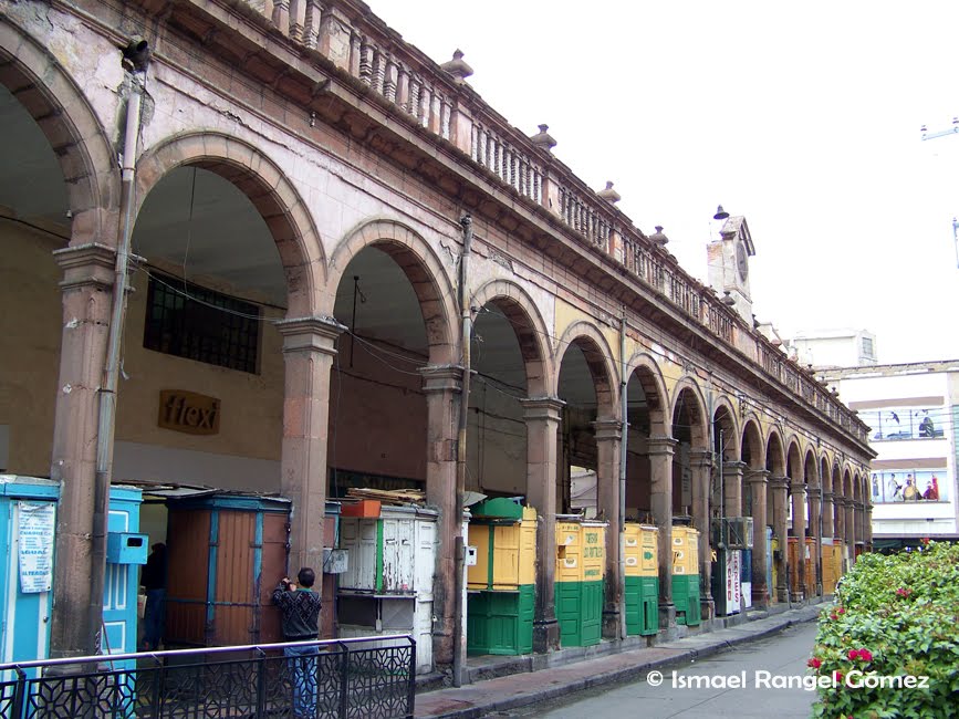 CALLE JULIÁN DE LOS REYES, SAN LUIS POTOSÍ, S.L.P.