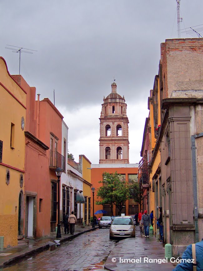 CALLE JOSÉ ILDEFONSO DÍAZ DE LEÓN, SAN LUIS POTOSÍ, S.L.P.