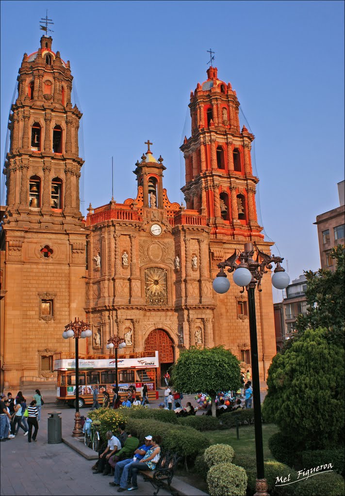 Catedral San Luis Potosi By Mel Figueroa