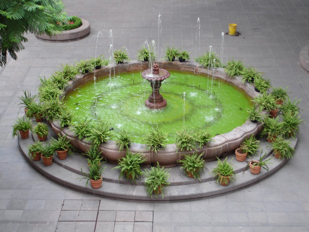 Fuente Edificio centra UASLP
