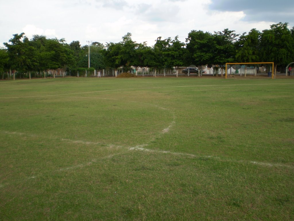 Fraccionamiento Real Palmas