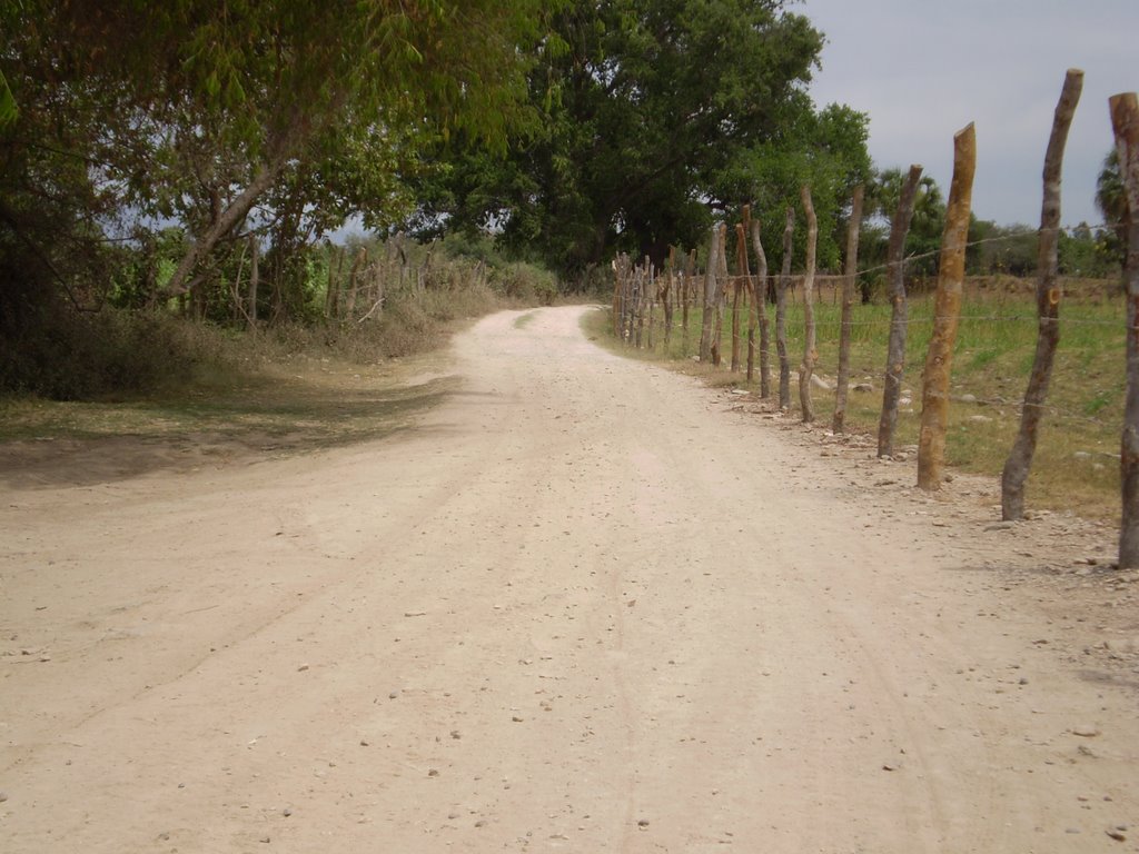 Camino Al Opochi