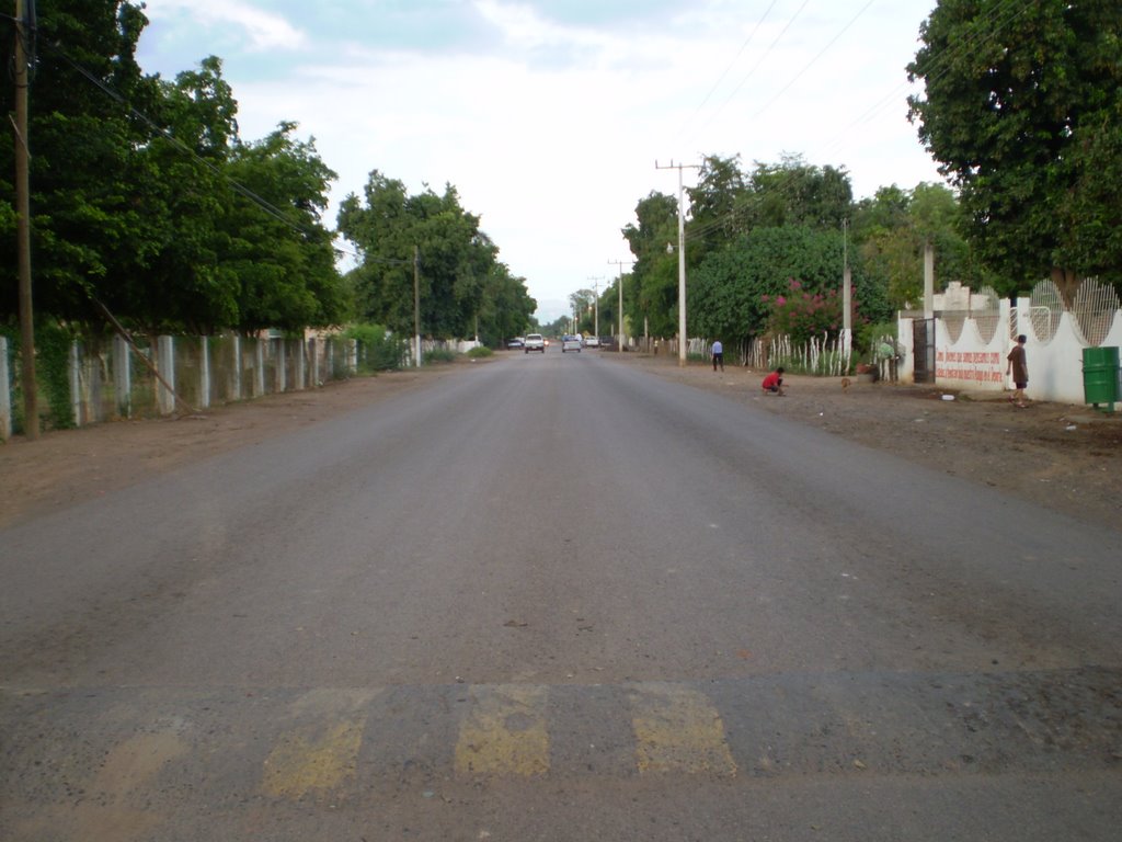 Baburia
