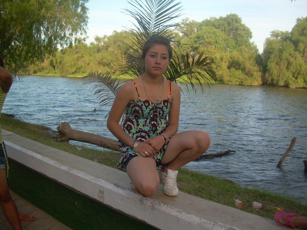 Shabela