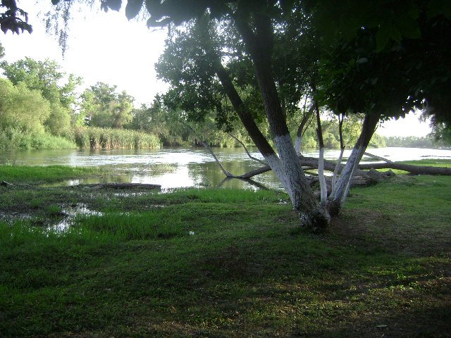 RIO SINALOA