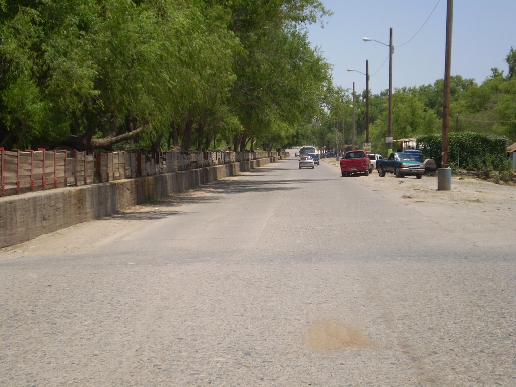 el tapo