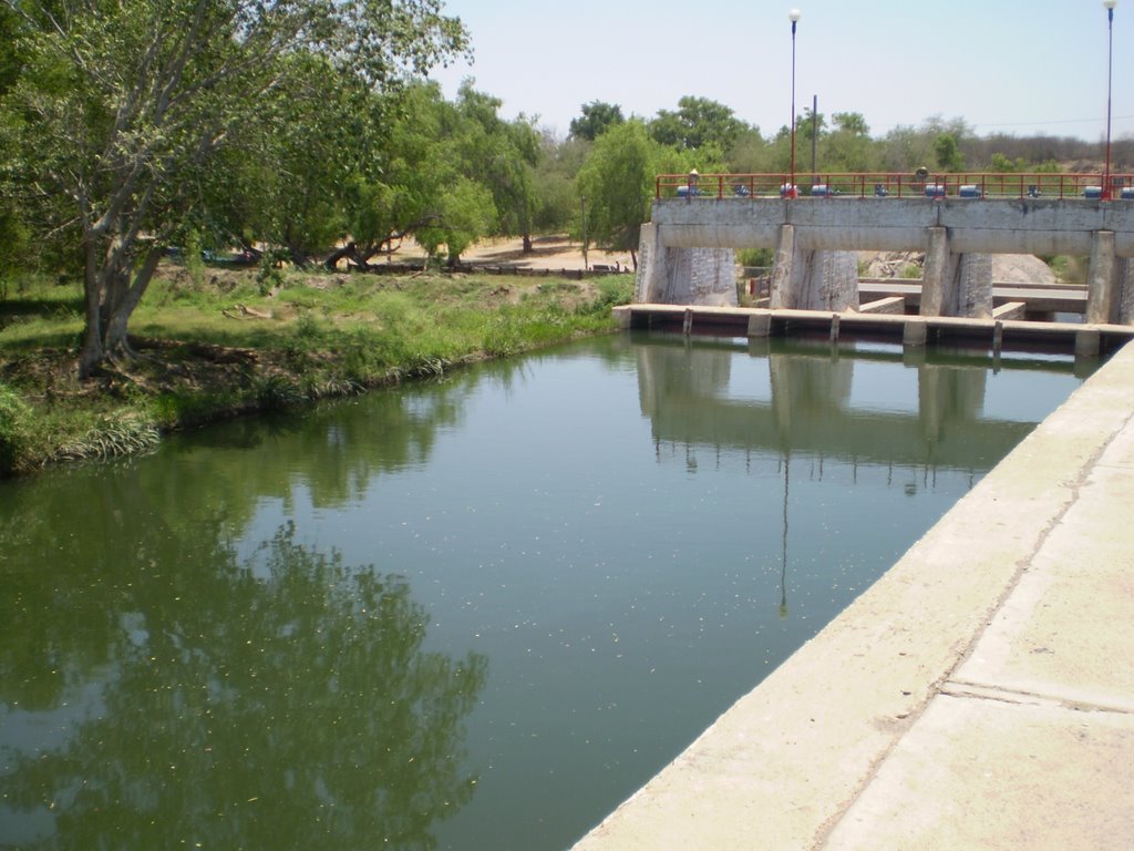 EL Tapo