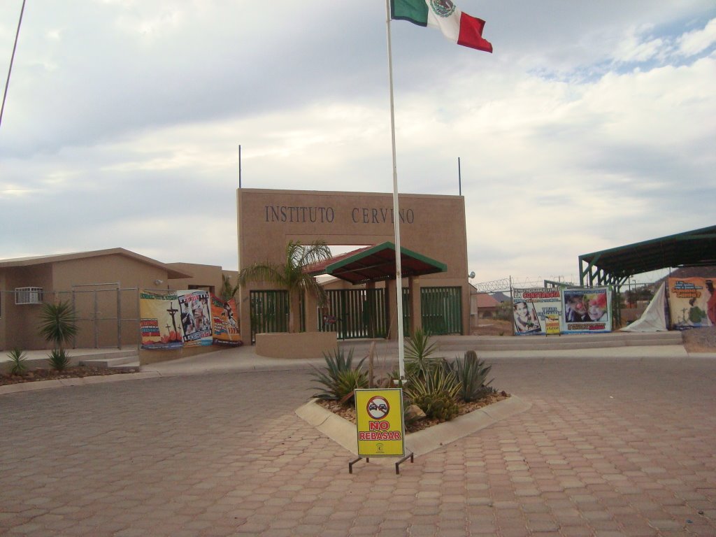 Instituto Cervino