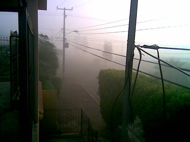 un dia de neblina