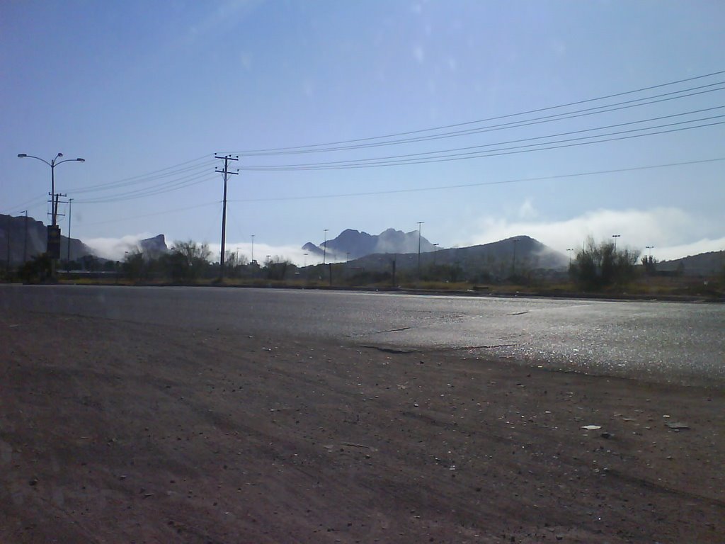 niebla