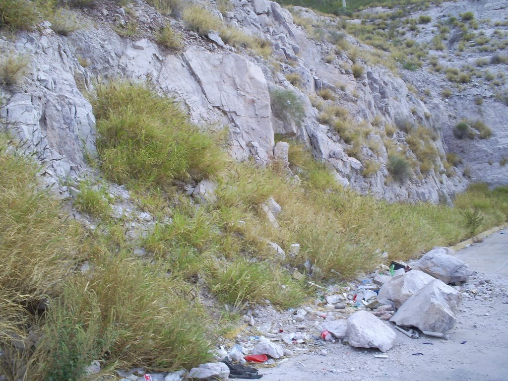 deslizamiento de roca