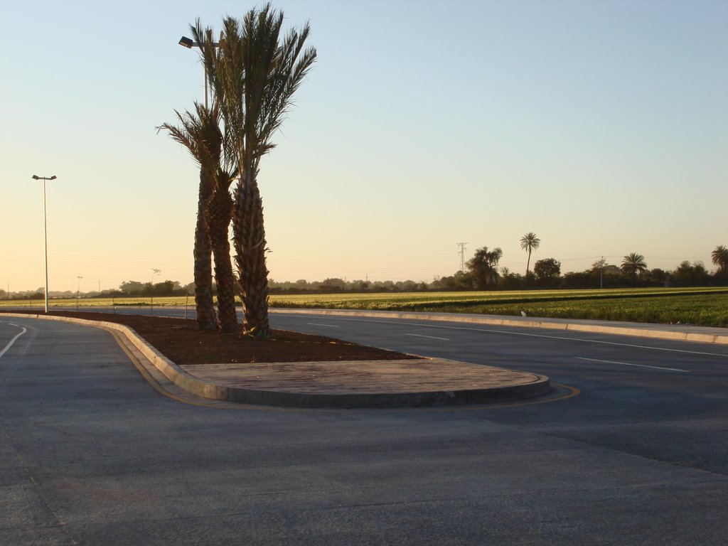 Circuito Vial Navojoa