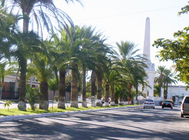 boulevard alvaro obregon