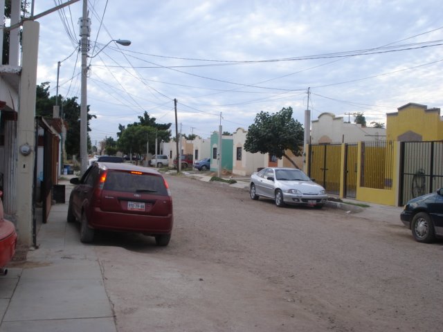 calle jacarandas