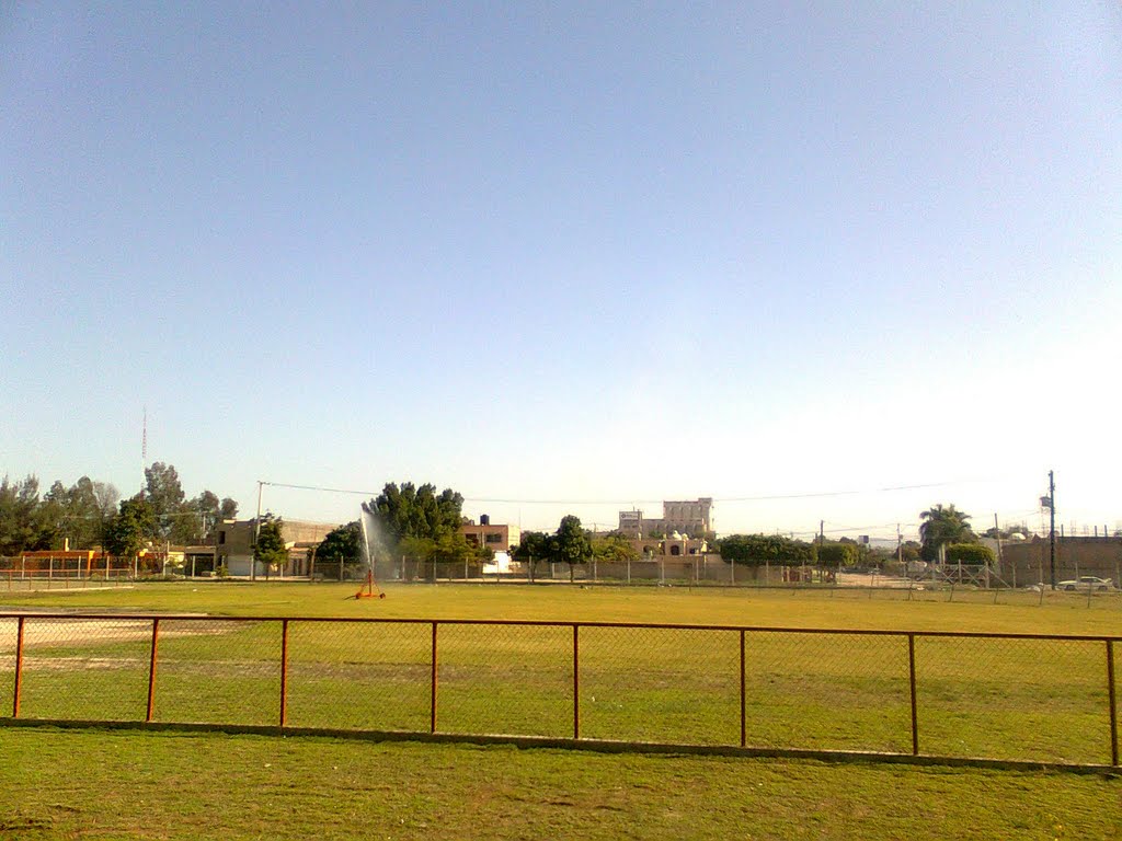 campo de beisbol