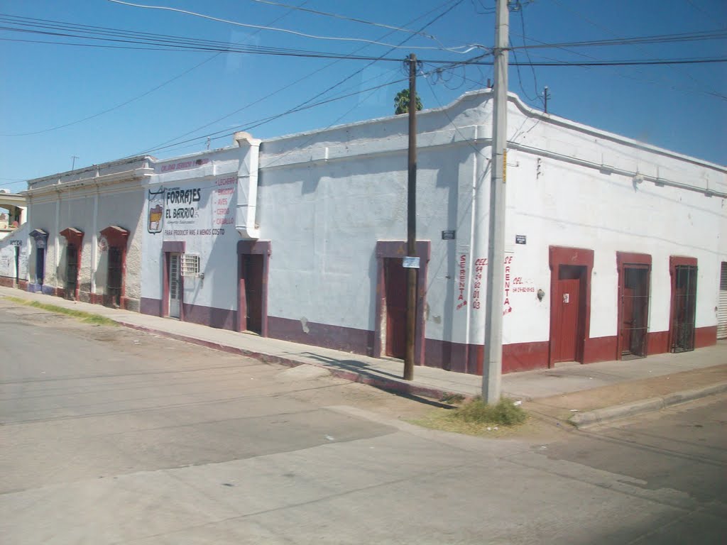 Forrajes el Barrio