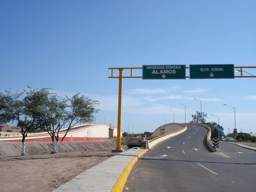 Puentes_Elevados  Plan Sonora Proyecta
