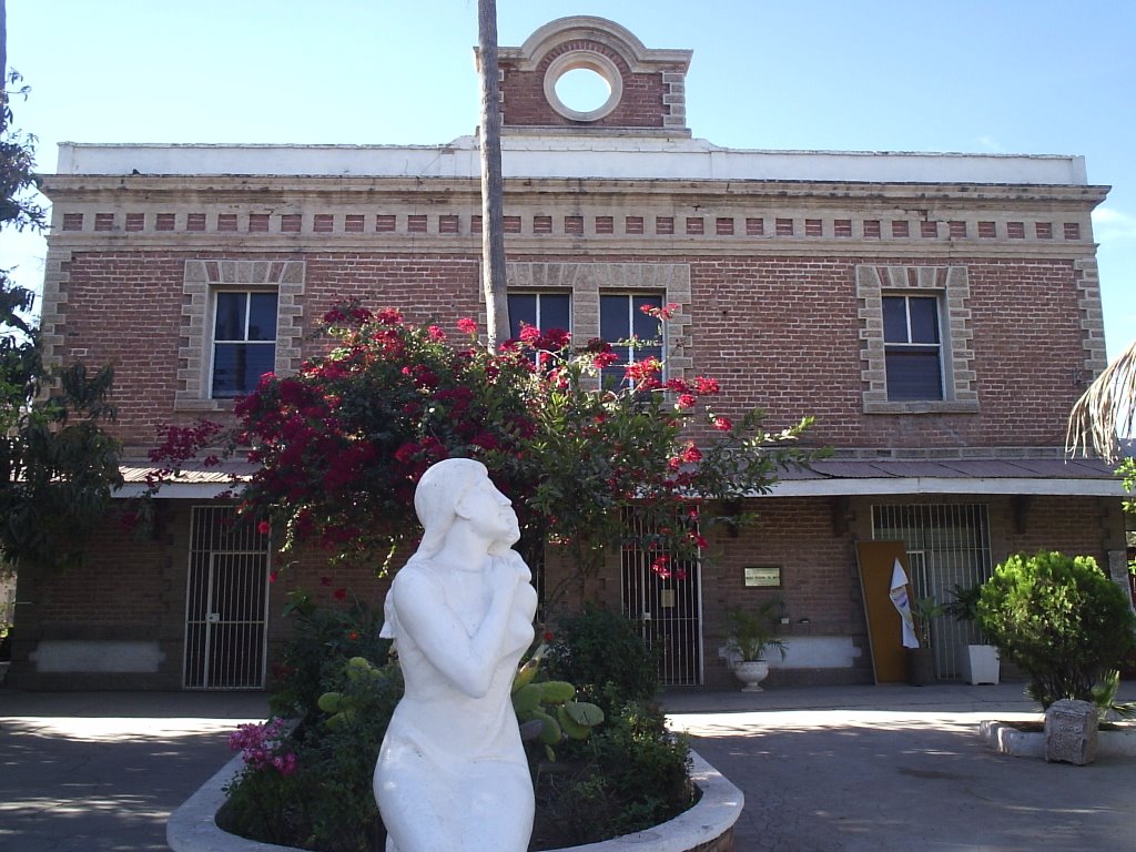 MUSEO REGIONAL DEL MAYO