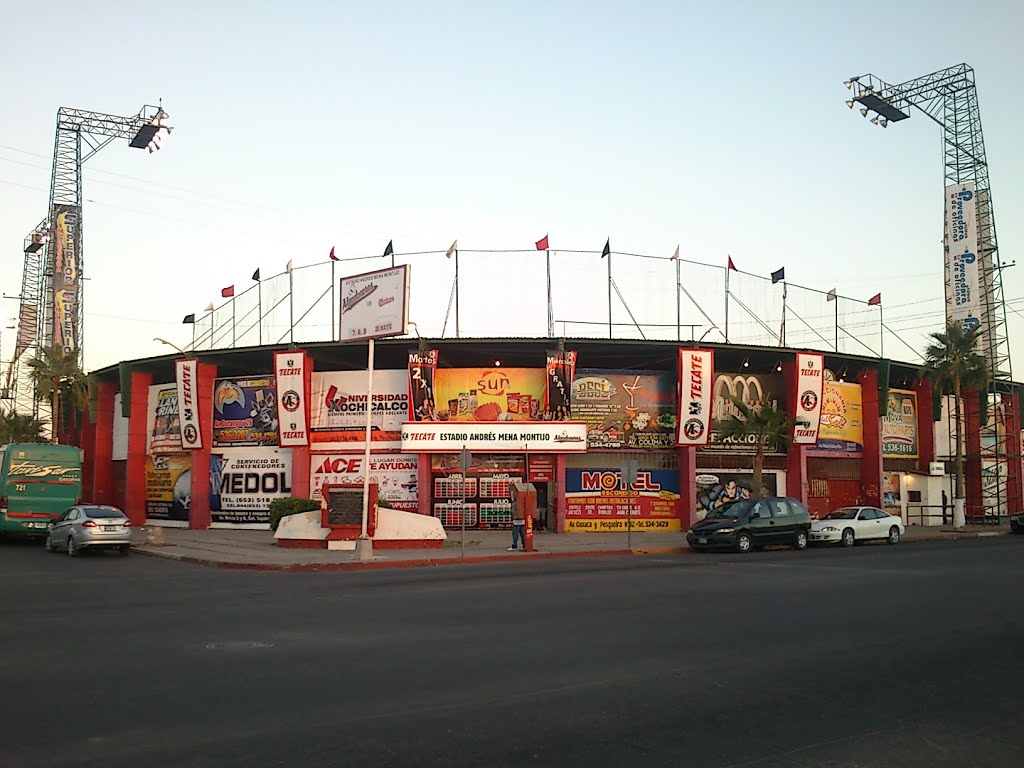 Vista frontal del Estadio Andres Mena Montijo 2013